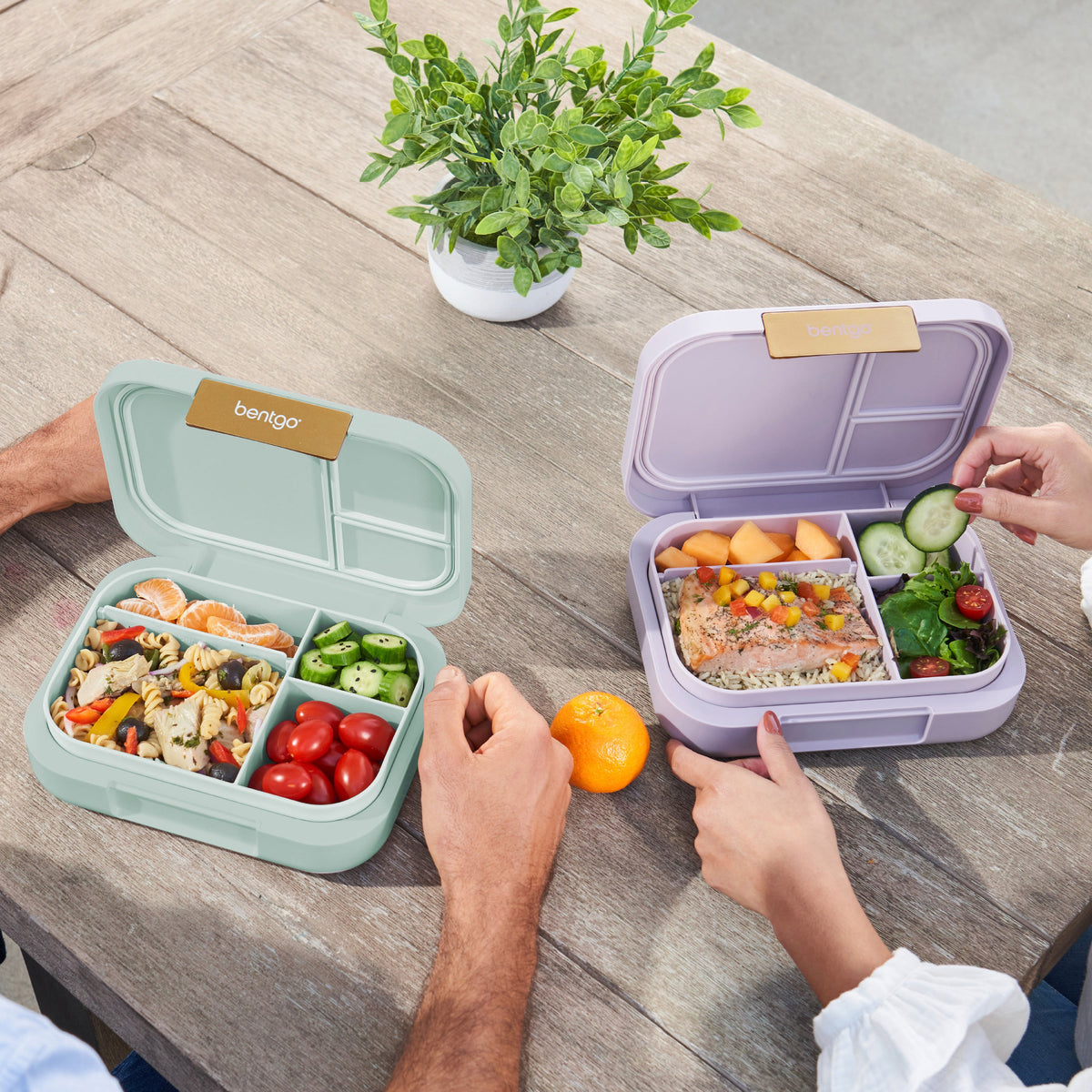 bentgo-modern-lunch-box-2-pack-t3 COSTCOBMCPRODUCTIMAGE_2.jpg